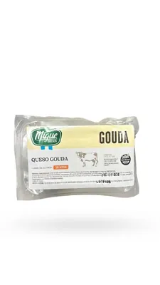 GOUDA TROZADO MIGUE