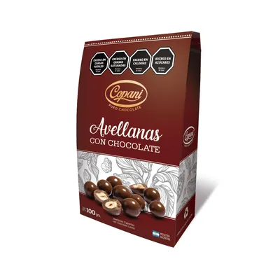 AVELLANAS CON CHOCOLATE EST.100 GR