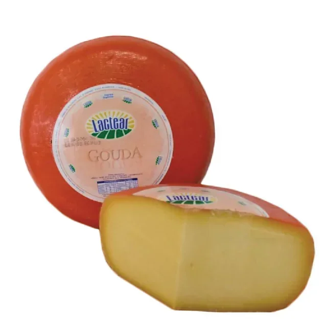 GOUDA LACTEAR